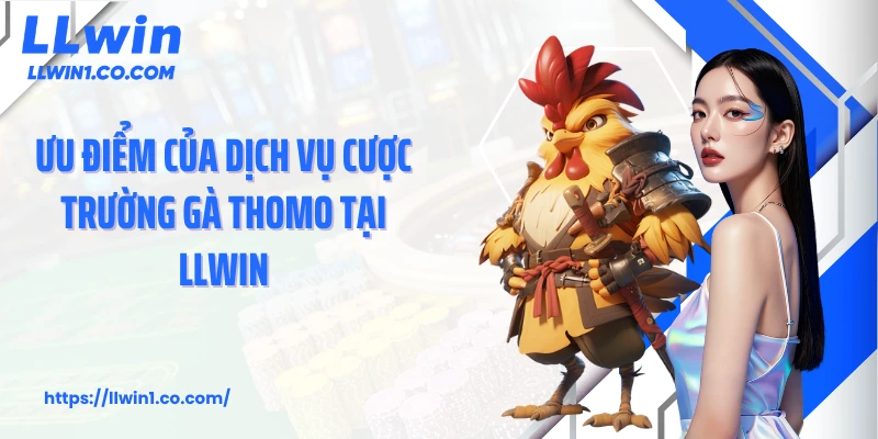 Ưu điểm của dịch vụ cược trường gà Thomo tại LLwin